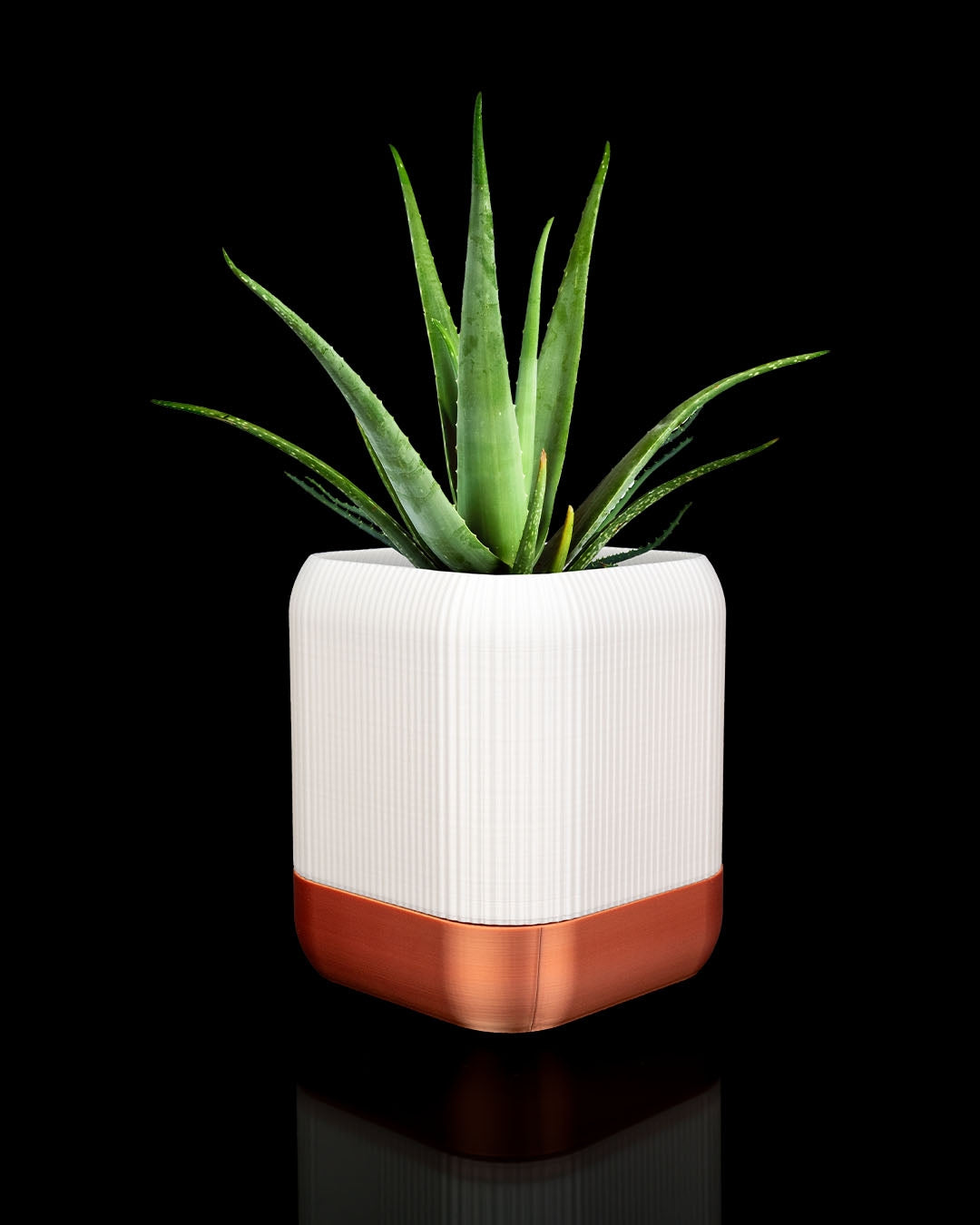 Self-watering planter