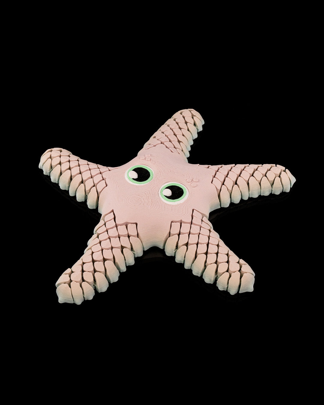 Sandy, the Sea Star