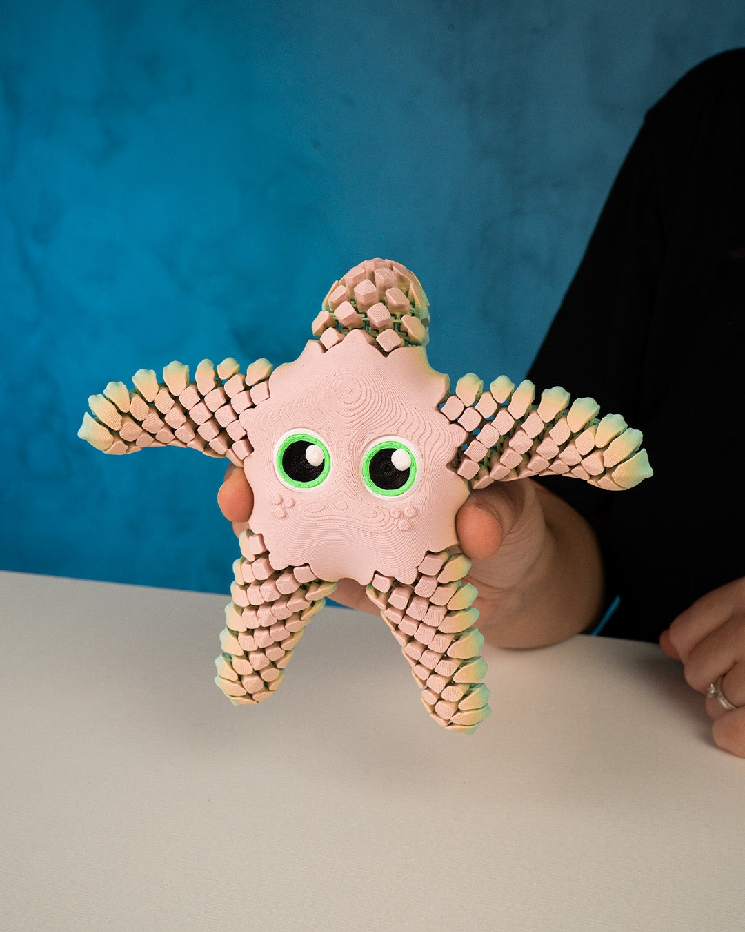 Sandy, the Sea Star