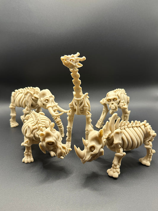 Skeleton Safari