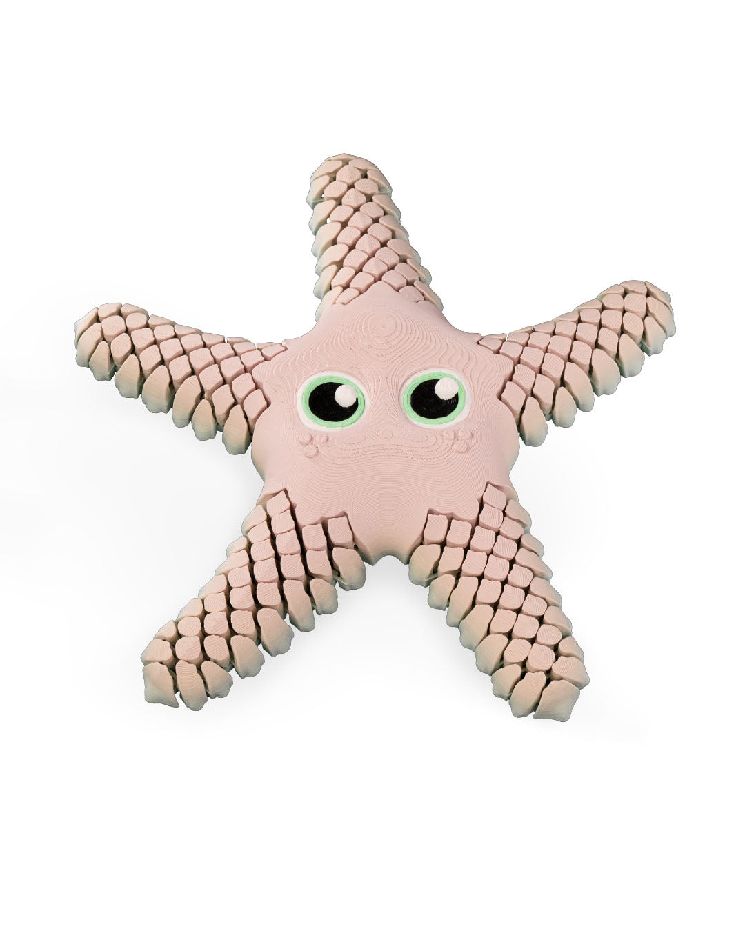 Sandy, the Sea Star