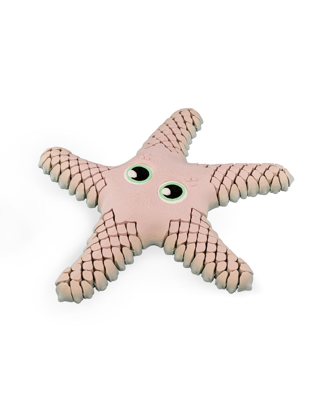 Sandy, the Sea Star