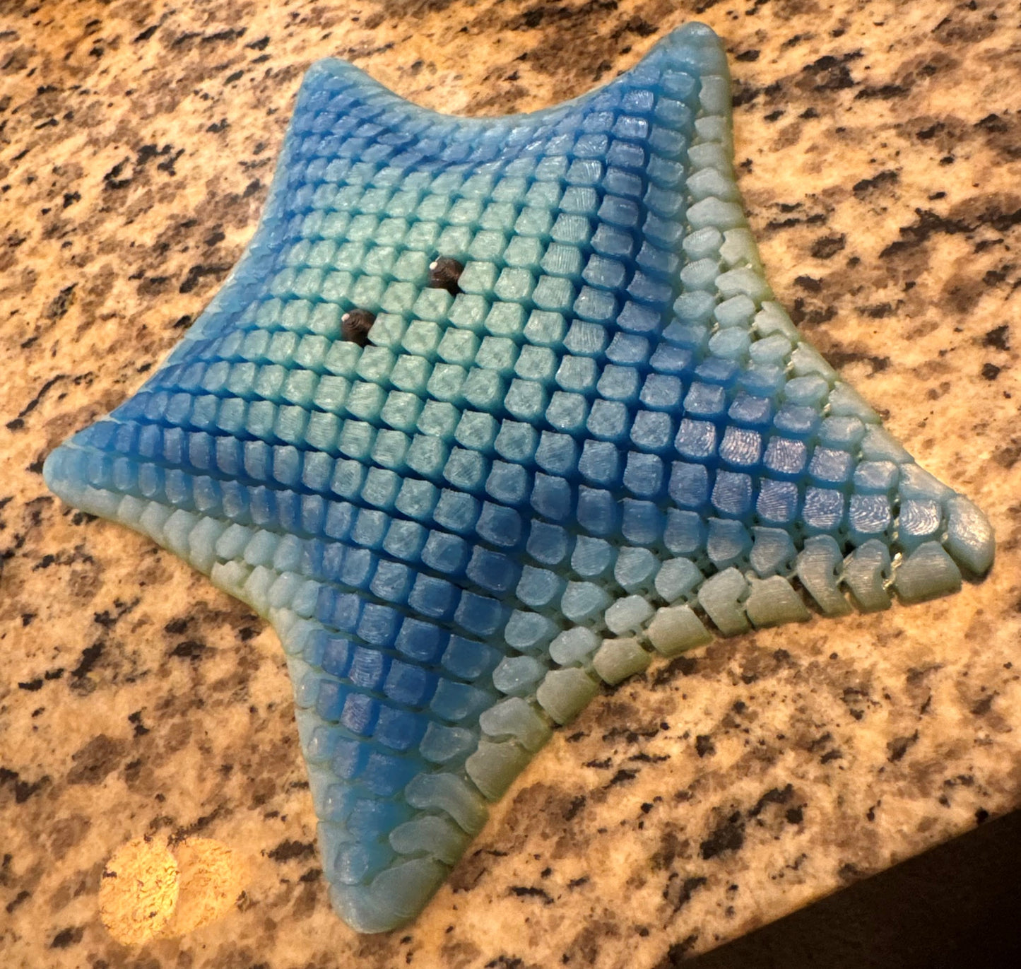 Sally the Sea Star